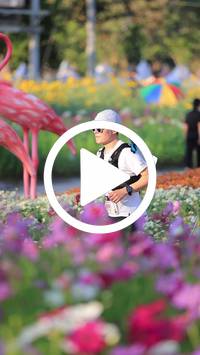 BIB:  <button type="button" onclick="openModal(27588711)" class="btn btn-primary btn-sm float-right" data-toggle="modal" data-target=".modal-high-quality">
                <i class="fa fa-download"></i> Download
                </button>